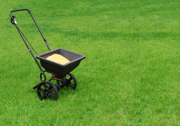 Marietta Lawn Treatment