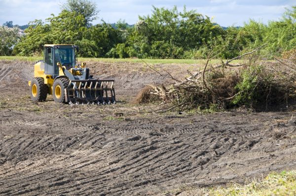 Marietta Land Clearing